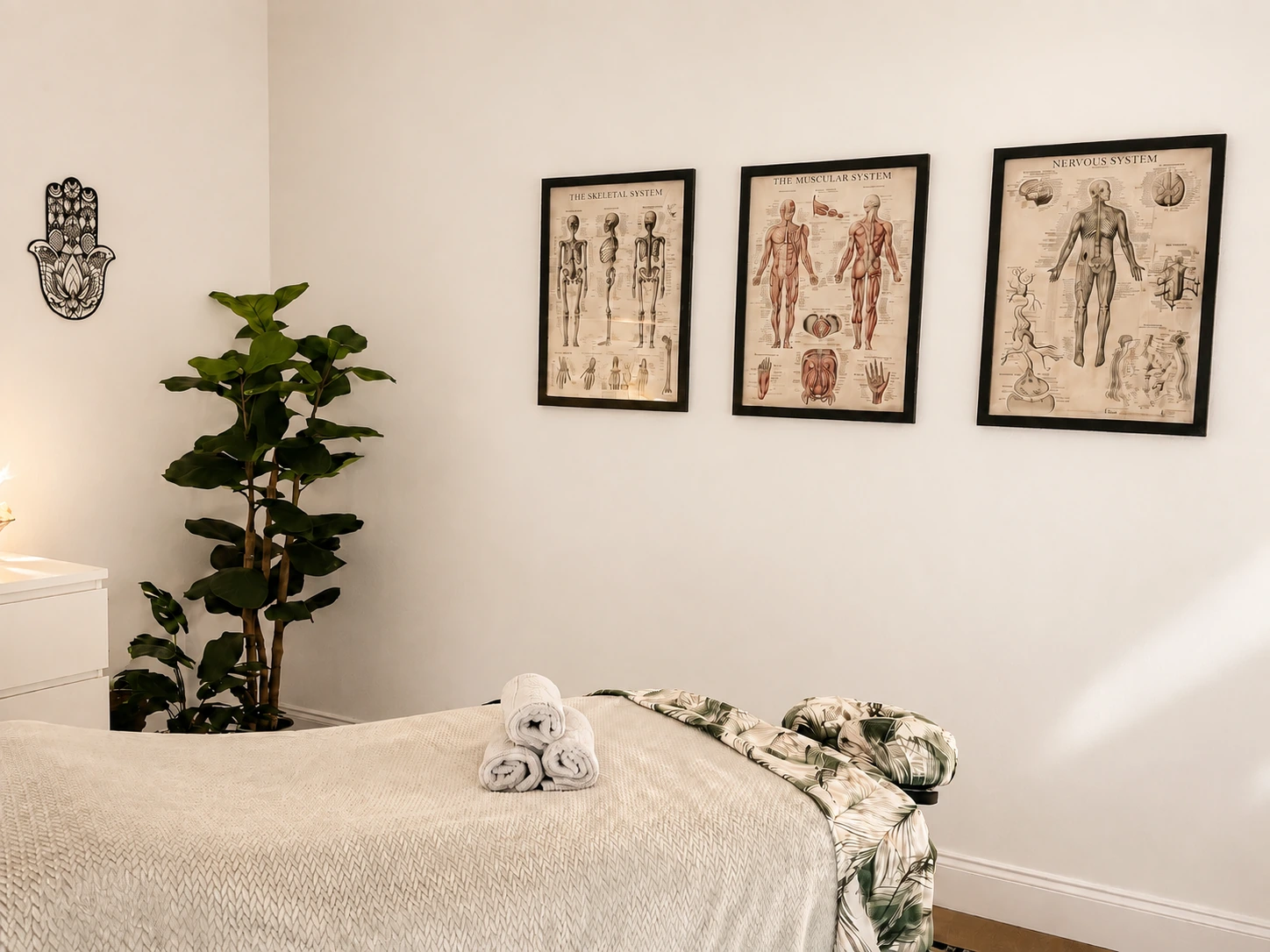 A calm corner of the treatment room with framed anatomy charts and a fiddle leaf fig.